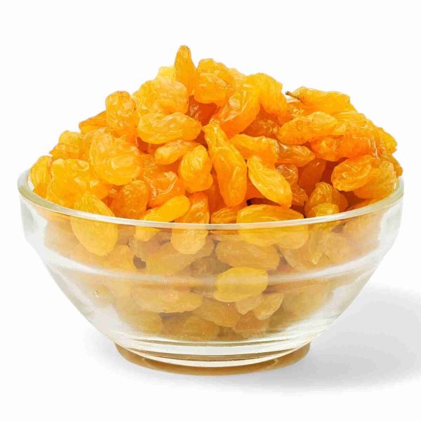 RAISIN SMALL GOLDEN