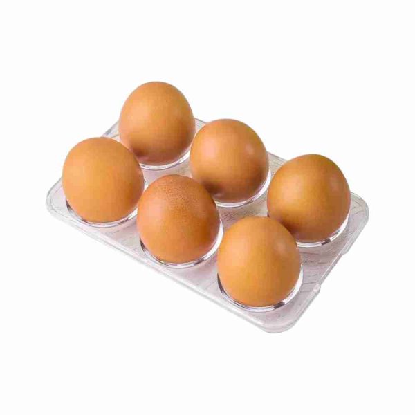 FTS BROWN EGG 6PCS