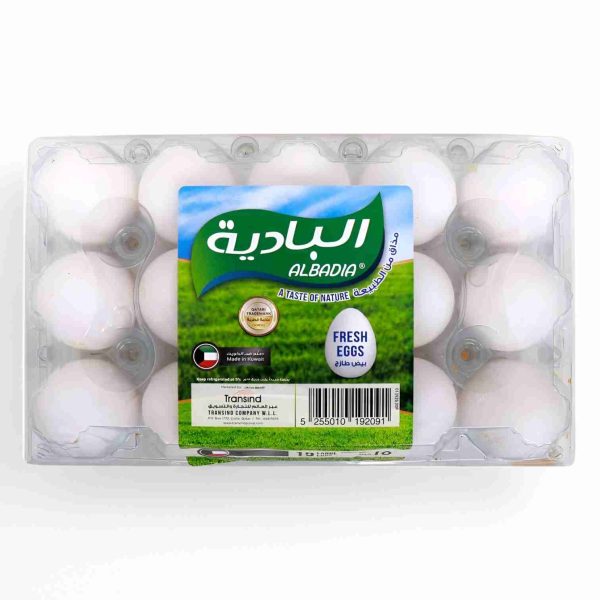 ALBADIA LARGE EGGS