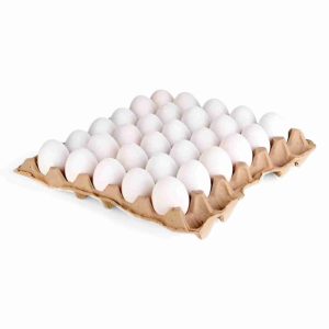 AAMS EGG TRAY 30PCS