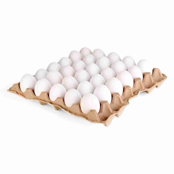 AAMS EGG TRAY 30PCS