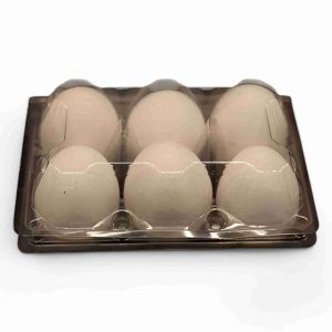 AAMS EGG TRAY 6 PCS