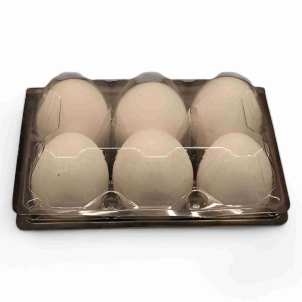 AAMS EGG TRAY 6 PCS