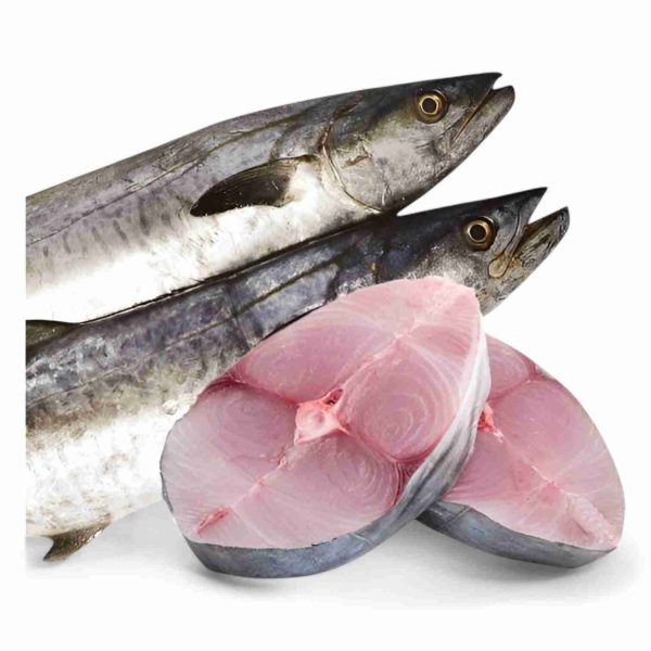 KING FISH