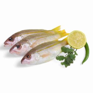 NAISAR FISH