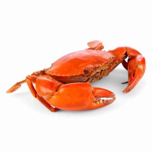 CRAB