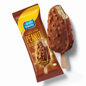 DANDY PEANUT DELIGHT ICE CREAM STICK 4627 100 ML
