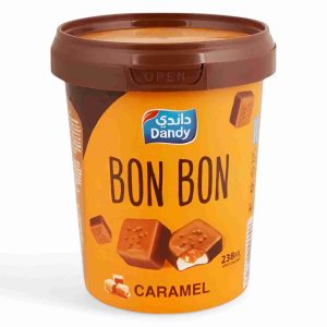 DANDY BON BON CARAMEL ICE CREAM 238 ML