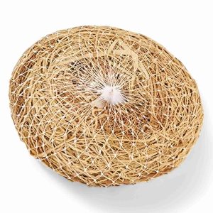 HONEY RAMACHAM BATH BRUSH