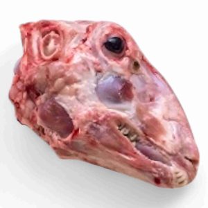 MUTTON HEAD