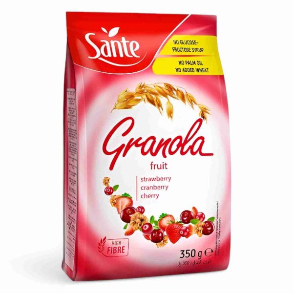 SANTE GRANOLA FRUIT 350 GM