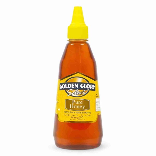 GOLDEN GLORY HONEY OCT SQUEEZ 454GM