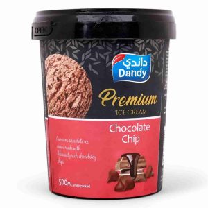 DANDY CHOCO CHIP ICE CREAM 500 ML